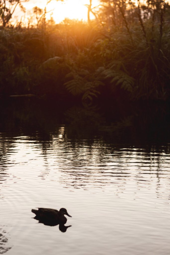 RACV Noosa Shoot by Chevaune Hindley Sunshine Coast Photographer