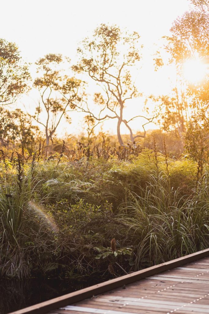 RACV Noosa Shoot by Chevaune Hindley Sunshine Coast Photographer